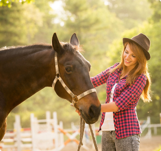 horse and human